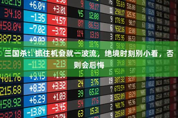 三国杀：抓住机会就一波流，绝境时刻别小看，否则会后悔