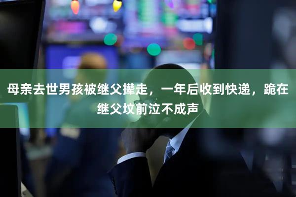 母亲去世男孩被继父撵走，一年后收到快递，跪在继父坟前泣不成声